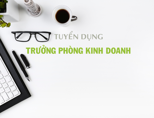TRƯỞNG PHÒNG KINH DOANH