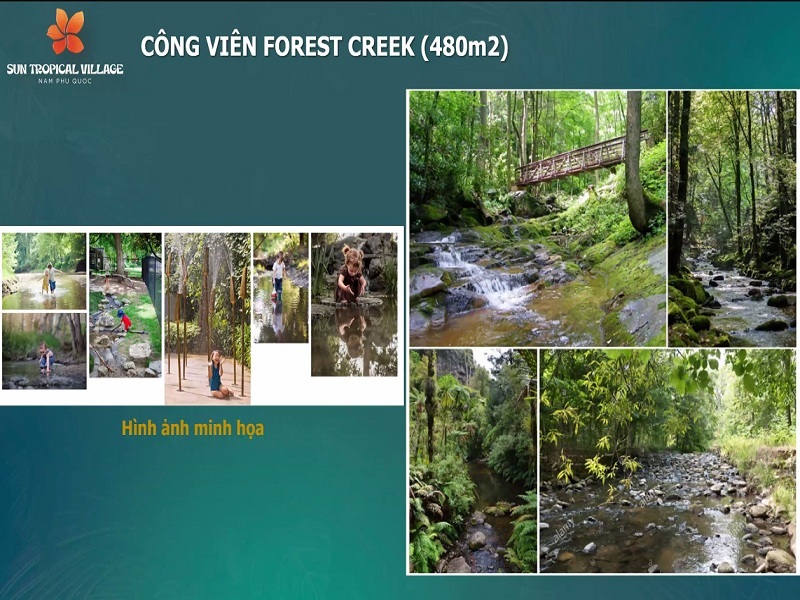 Công viên rừng nguyên sinh tại Tropical Village