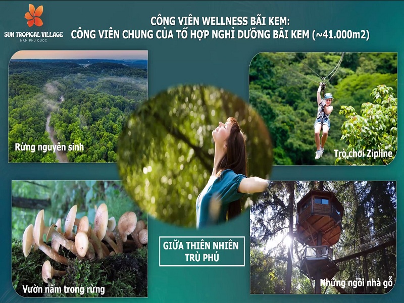 Công viên chủ đề rừng wellness Bãi Kem